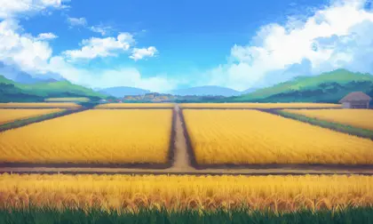Countryside & Roads