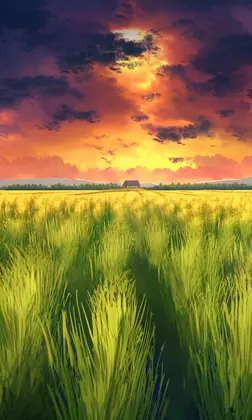 Countryside & Roads