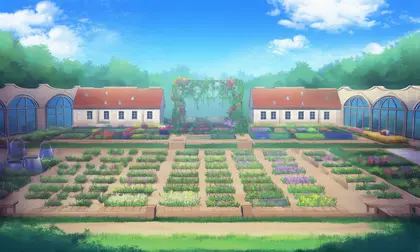 Magic Academy