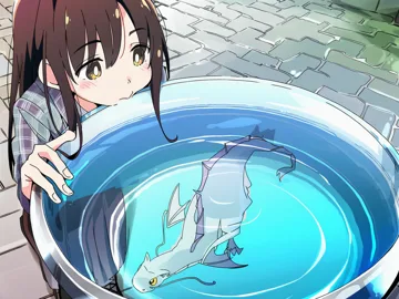 c14 · water bowl take 003
